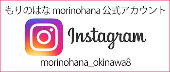 morinohana instagram